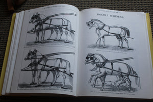 Mosemans’ Illustrted Guide for Purchasers of Horse Furnishing Goods